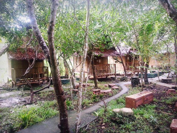 Bohol Coco Farm Vandrarhem Panglao Exteriör bild