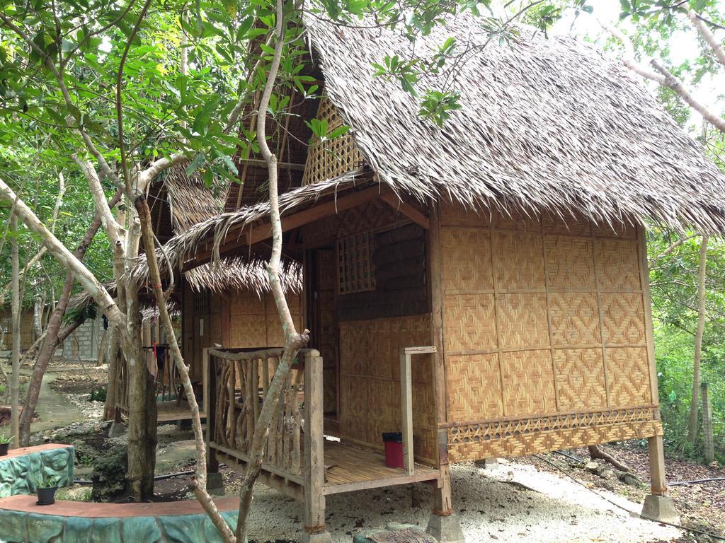 Bohol Coco Farm Vandrarhem Panglao Exteriör bild