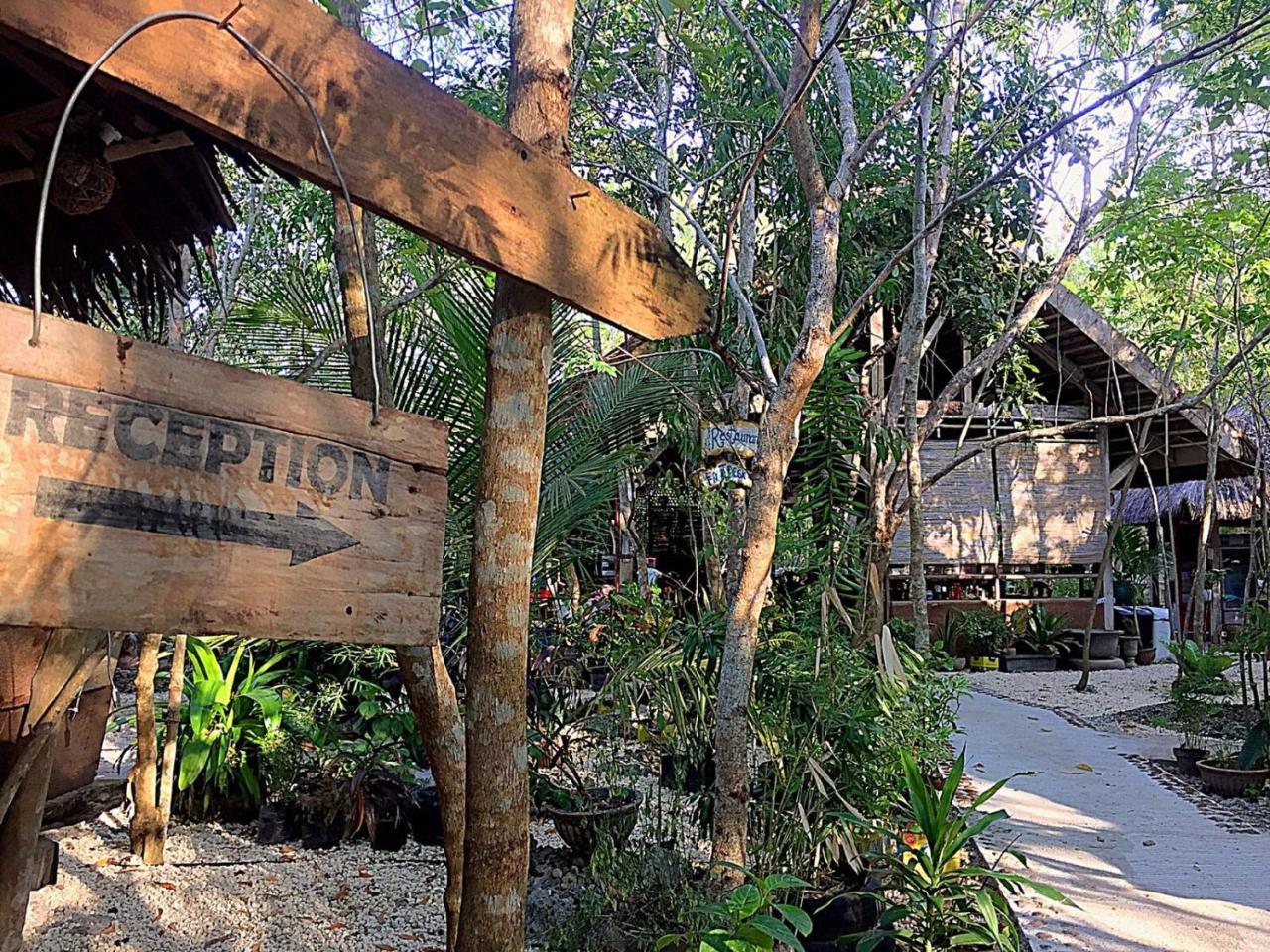 Bohol Coco Farm Vandrarhem Panglao Exteriör bild