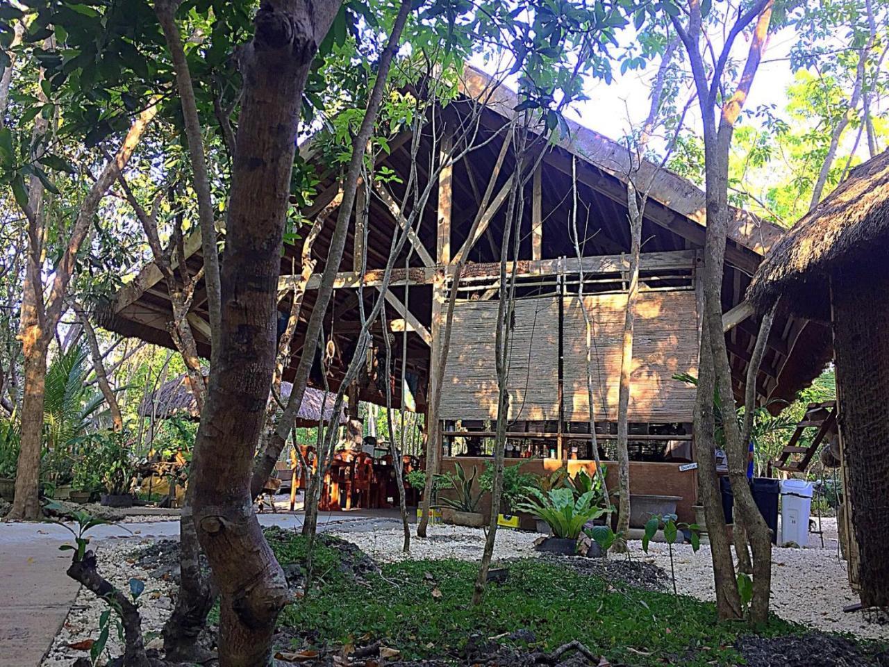 Bohol Coco Farm Vandrarhem Panglao Exteriör bild