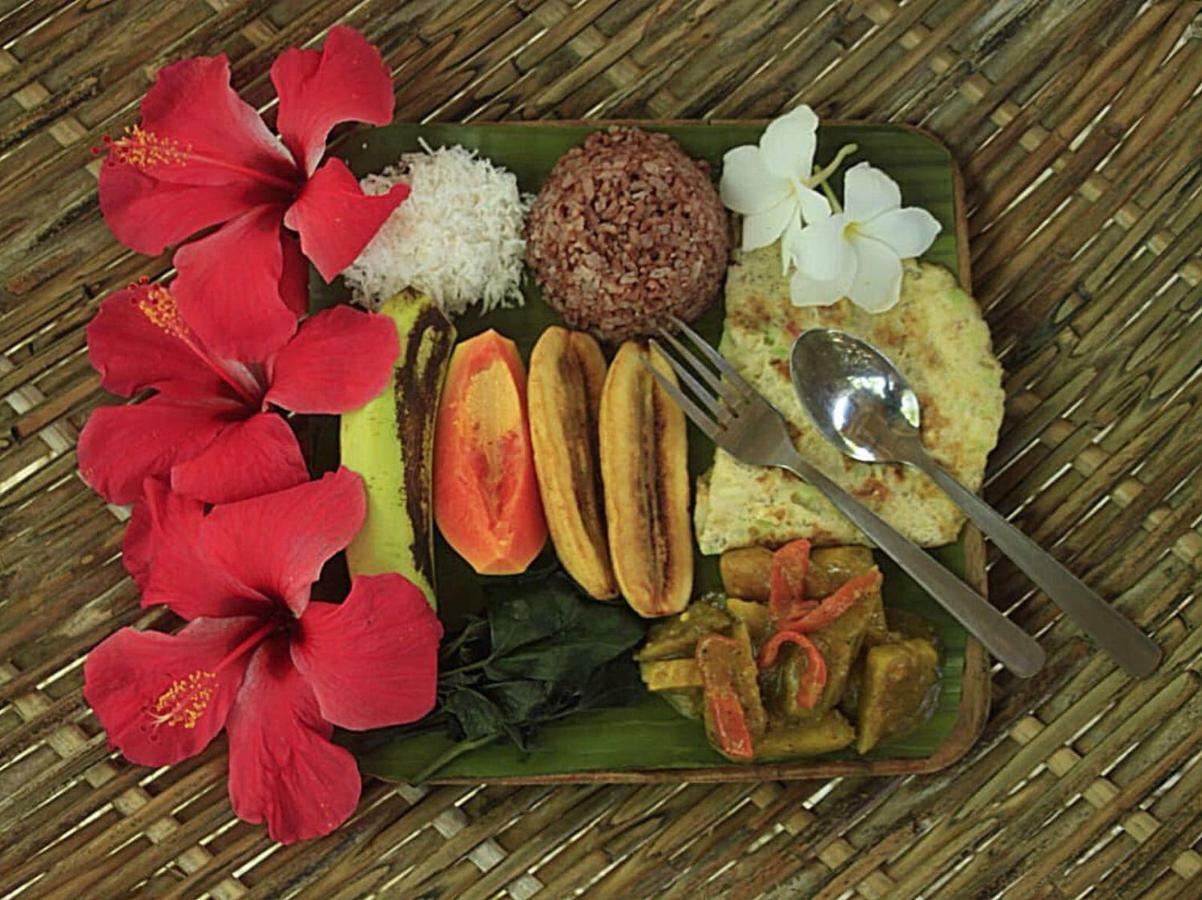 Bohol Coco Farm Vandrarhem Panglao Exteriör bild